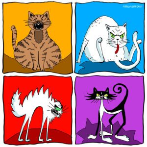 Gangsta cats
