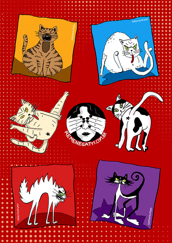Adesivos cats